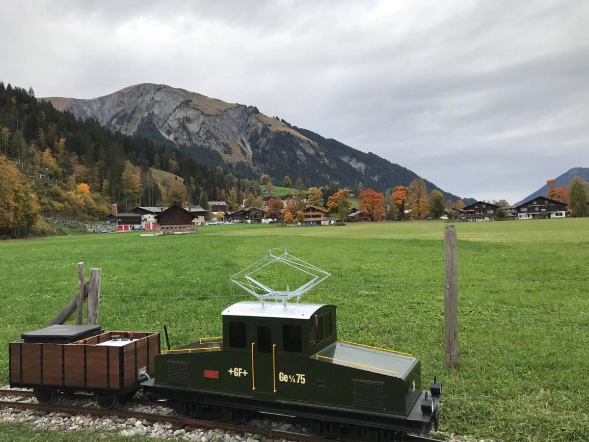 Schweiz ,lenk Ferienwohnung,kinderfreundl,seniorenfreundlich