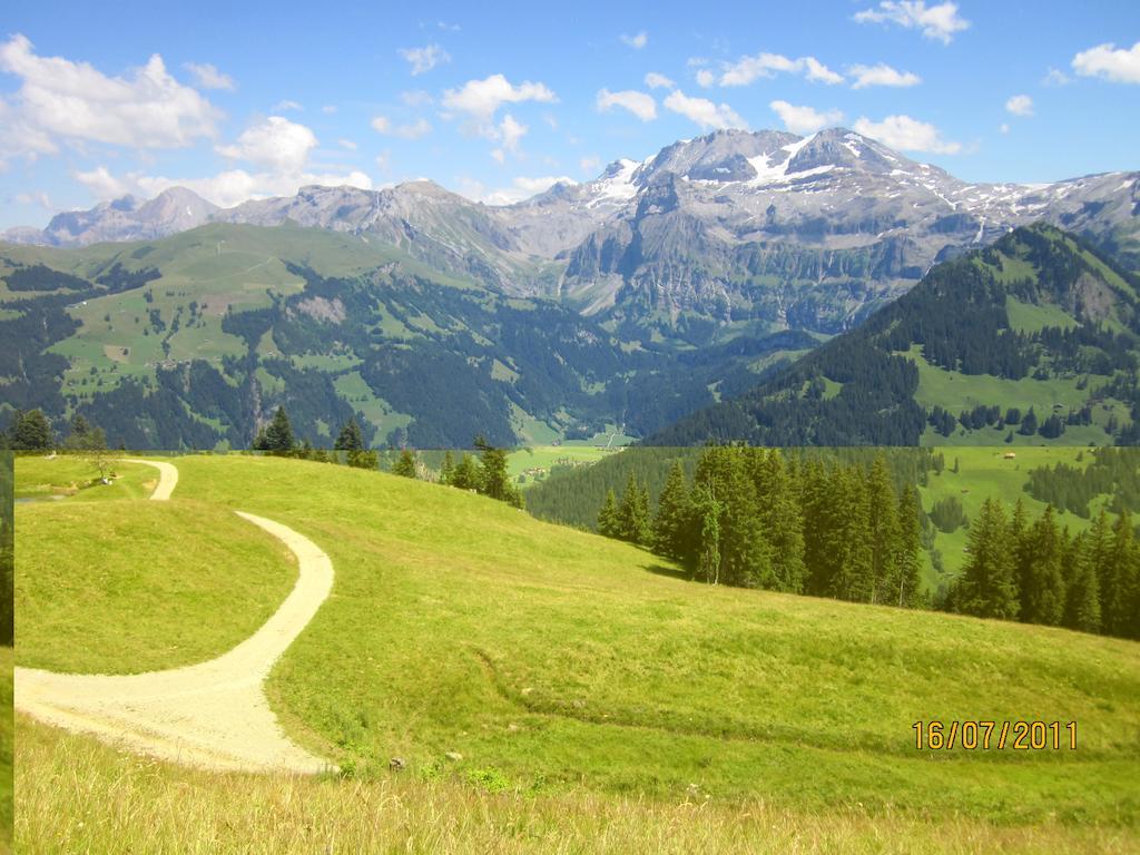 अपार्टमेंट Schweiz ,lenk Ferienwohnung,kinderfreundl,seniorenfreundlich *
