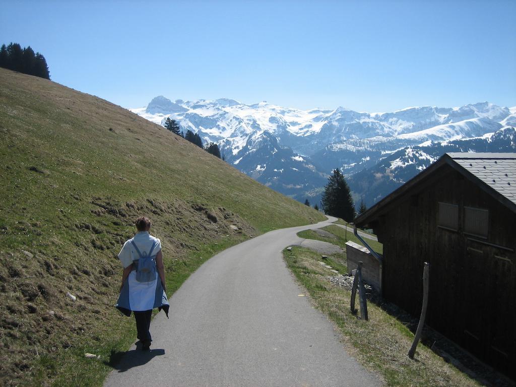 अपार्टमेंट Schweiz ,lenk Ferienwohnung,kinderfreundl,seniorenfreundlich *